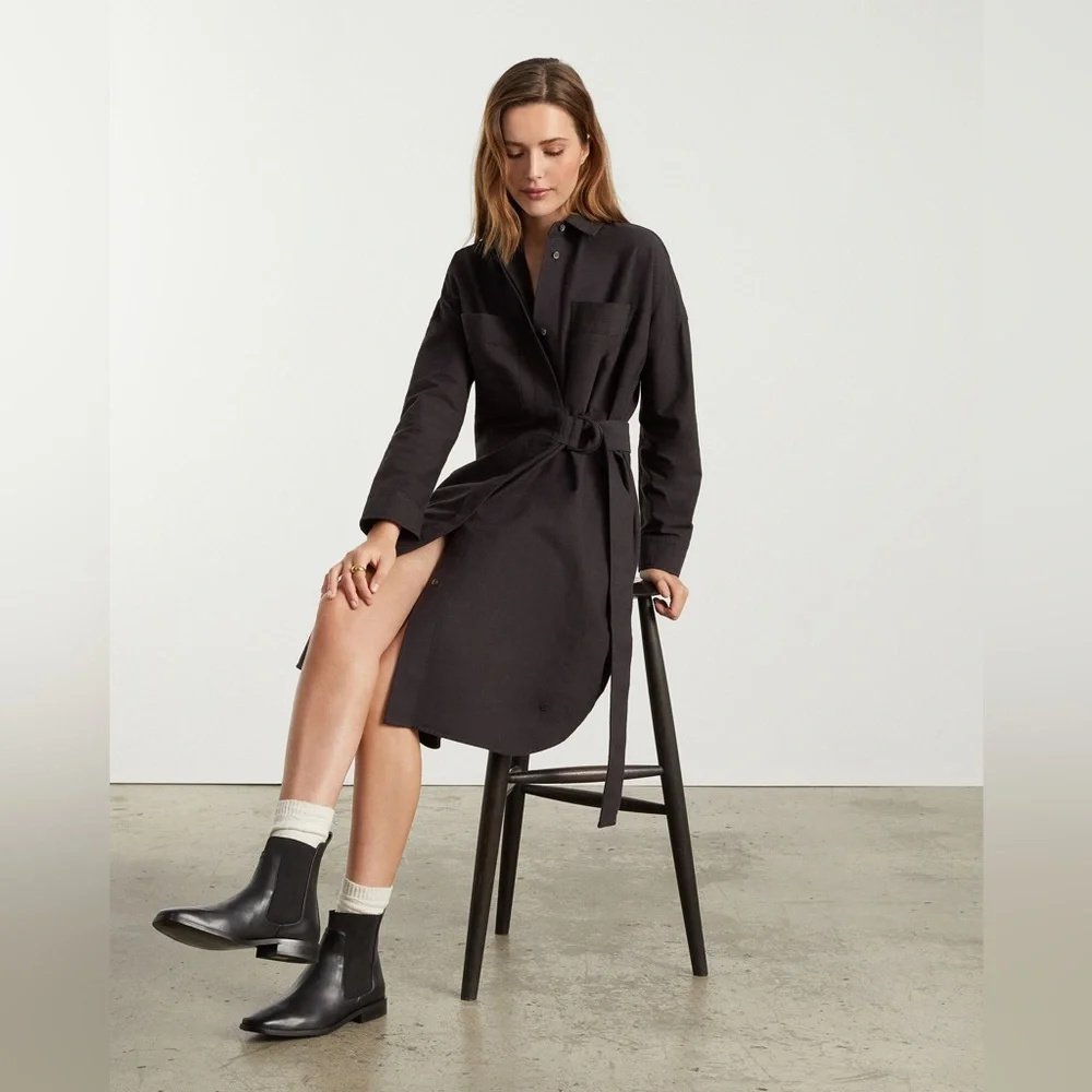 NWT Everlane The Oxford Shirtdress - Picture 2 of 16